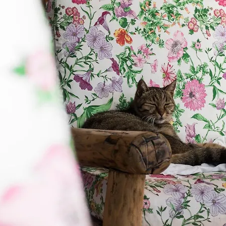 Il Cavallino Civitanova Alta