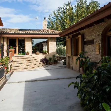 Il Cavallino 시비타노바 알타