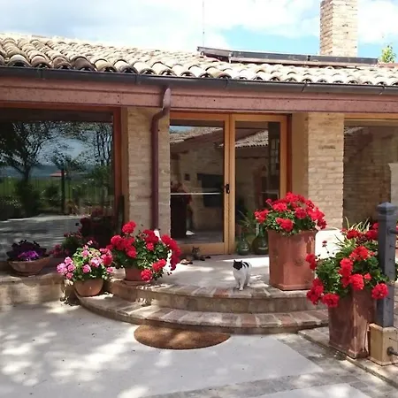 Il Cavallino Alojamento de Acomodação e Pequeno-almoço 4*