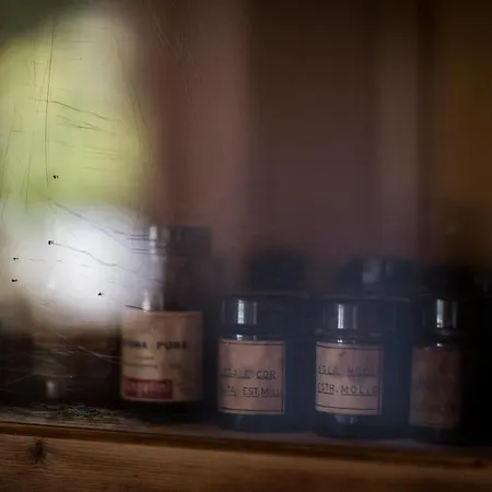 Il Cavallino 4* Civitanova Alta