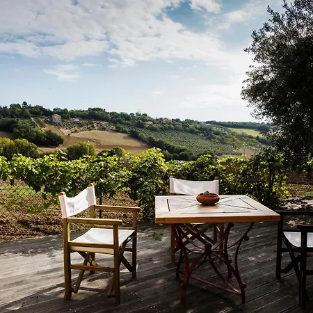 Il Cavallino Civitanova Alta