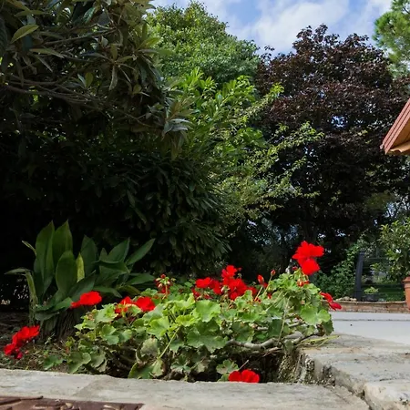 Il Cavallino 4* Civitanova Alta