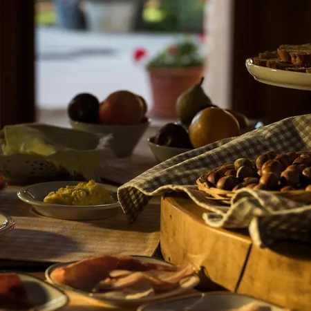 Il Cavallino Bed & Breakfast Civitanova Alta