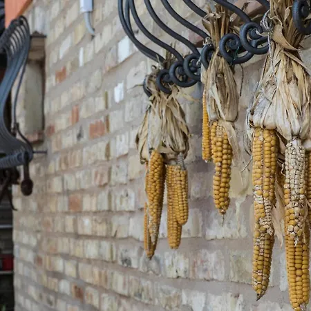 Il Cavallino Civitanova Alta