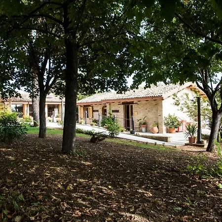 Bed & Breakfast Il Cavallino 4*