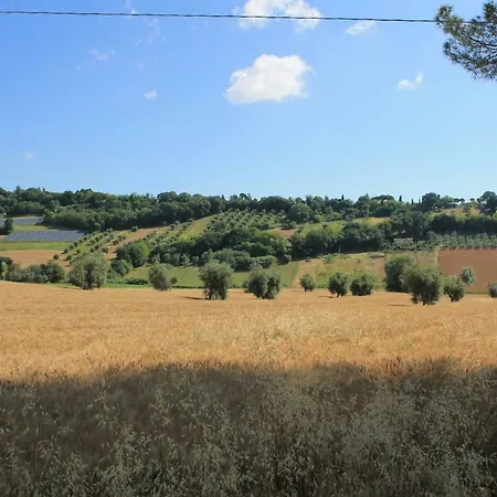 Il Cavallino 4* Civitanova Alta