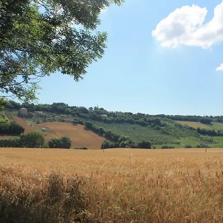 Il Cavallino *